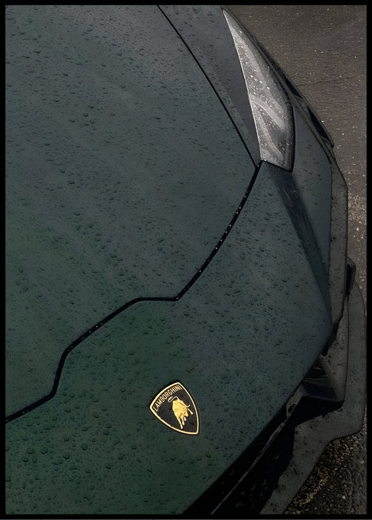 Rainy Lambo
