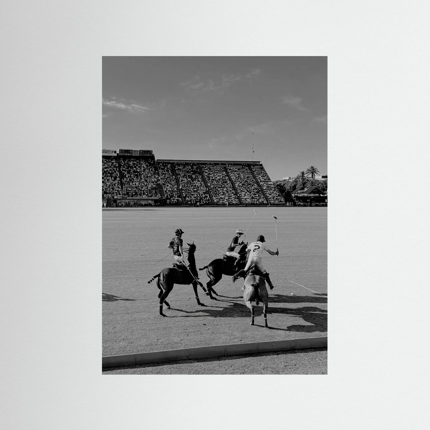Polo